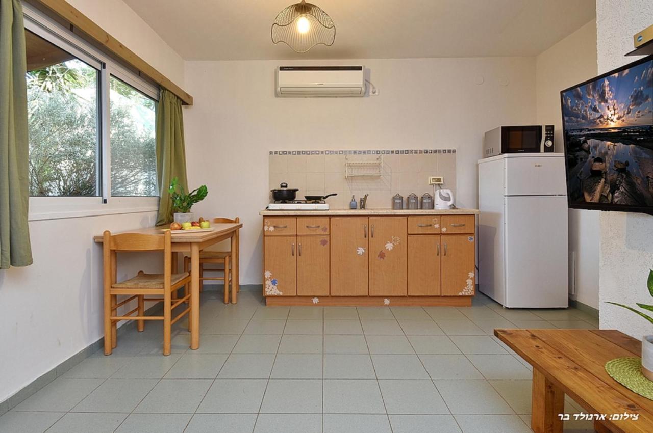 Hawaii Mansion Villa Rosh Pinna Ngoại thất bức ảnh